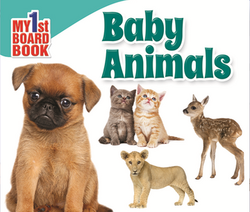 My First Mini Board Books