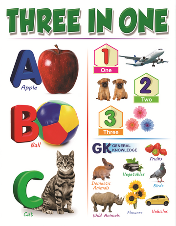 3 in 1 Early Learning Book