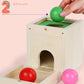 Pika Bloom 6 in 1 Sensory Activity Board